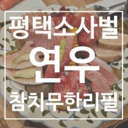 평택 소사벌 비전동 참치전문점 코스요리 무한리필 맛집 - 연우 내돈내산 후기