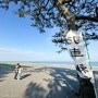 시즈오카 해변과 후지산을 한 번에 <미호노 마츠바라 해변> 三保の 松原