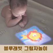 블루래빗 아기 전집 그림자놀이 핸디빔 첫명작시네마 책육아