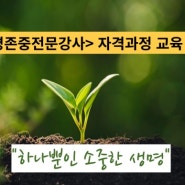 생명존중전문강사 자격과정. 한국자살예방센터 정택수센터장 온라인교육 7H 성료..