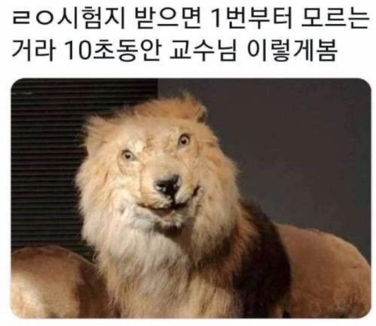 트위터 웃긴 짤, 웃긴 밈 모음 : 네이버 블로그