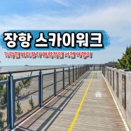 서천 장항 스카이워크 전망대 주차장 송림산림욕장 서해 바다 여행