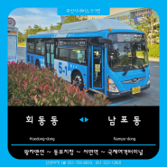 🚌 부산 삼성여객 5-1번 노선 정보 (회동동 ~ 동부지청 ~ 국제여객터미널 ~ 남포동)