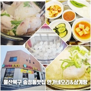 울산 북구 송정동 맛집 안가네 오리&삼계탕