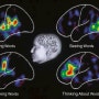 뉴로하모니S20 뇌과학의 끝판왕! 주의집중력 강화로 학습능력 향상