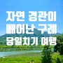 자연 경관이 아름다운 전라도 구례 당일치기 즉흥 여행 후기💚🌳🏞 지리산과 섬진강이 장관을 이루는 산수유의 고장 구례 💖