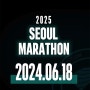 2025 서울마라톤 (동아마라톤) 접수방법 마라톤코스예상
