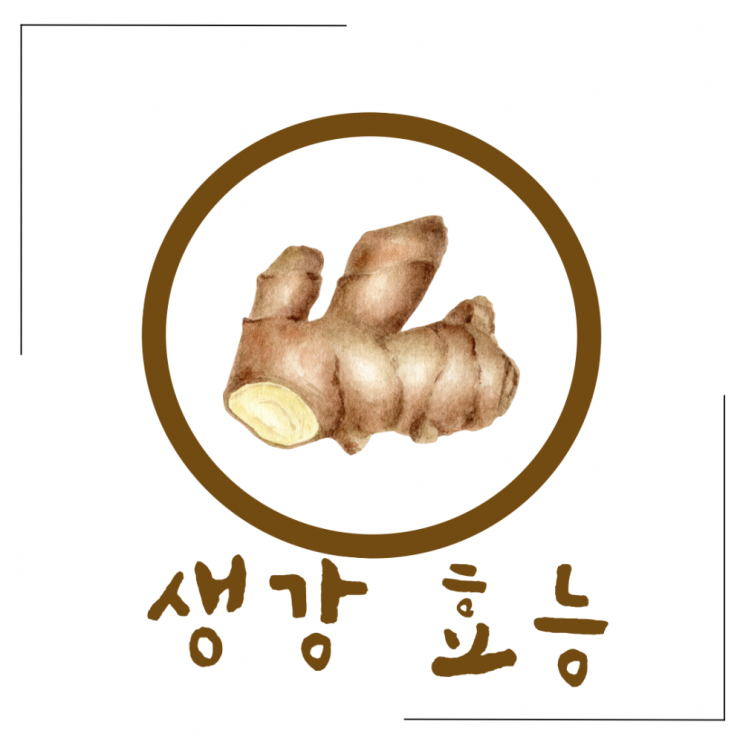 생강 효능 생강청 생강차 효능 및 부작용은? : 네이버 블로그