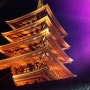 [편지글] 도쿄 추억 여행 일본 아사쿠사 센소지 야경