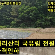 인제 가리산리 국유림,전원주택지 매매