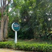 [싱가포르] 비보시티 센토사섬 모노레일, 유니버셜 스튜디오 가는 법, 센토사섬 비치셔틀 코스