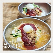 부산밀면맛집 교대 국제밀면 본점 추천 메뉴 웨이팅 후기