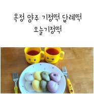 옥정 양주 떡집 기정떡 양주 답례떡 오늘기정떡 선물용 떡 폭신 쫀득 너무 맛있어