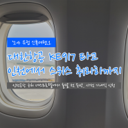 ['24 유럽.1] 대한항공 KE917 타고 스위스 취리히까지 - 인천공항 근처 네스트호텔 출발 전 숙박, 53열 좌석, 사전 기내식 신청