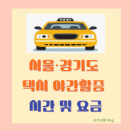 서울 경기도 택시 야간 할증 시간 요금