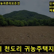 인제 천도리 귀농주택지 매매