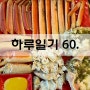 하루일기 60. 이번주도 고성 (2024.06.15)