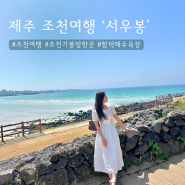 제주 서우봉 | 조천 여행 가볼만한곳 에메랄드 바다 🏖️