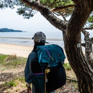 고싸머기어 마리포사 60