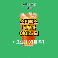 스타벅스 복숭아 아이스티 후기 트렌타 사이즈 추천 (복숭아 아이스티 샷 추가)
