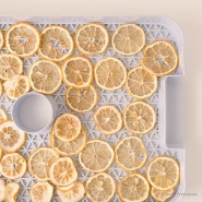 건조 레몬칩 만들기 레몬 말리기 레몬수 레몬물 만들기 세척