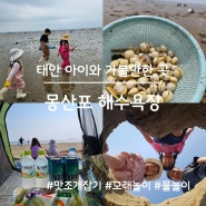 태안 아이와 가볼 만한 곳, 몽산포해수욕장(물때 시간표, 맛조개 잡기)