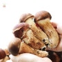 풍미있는 된장찌개 레시피 : 참송이버섯 요리
