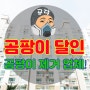 다세대 주택 누수 곰팡이 제거 업체 확실한 해결법