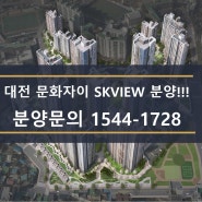 대전 문화자이 SKVIEW 동,호지정 선착순 분양소식