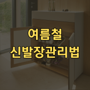 신발장관리 여름철 냄새제거 방법 알아보기