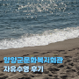 양양군 실내수영장 양양군문화복지회관 수영장 자유수영 후기