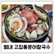 별내 맛집 고집통문어칼국수 별내별가람역점 남양주 칼국수 점심