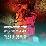 강원도 정선 하이원 근처 모노레일 타는 시원한 탄광 관광｜화암동굴｜