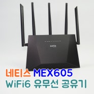 네티스 MEX605 유무선 공유기 :: Mesh를 지원하는 WiFi6 유무선공유기