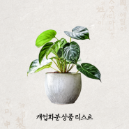 개업화분 상품별 가격