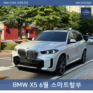 BMW X5 미네랄화이트 스마트할부 월불입금 지원?