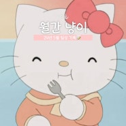 [월간 냥이] 24년 5월 일상 기록