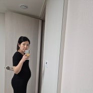 임산부 26주차 임신일기 골반통증 배크기 코피 자궁수축 자궁내려앉는느낌