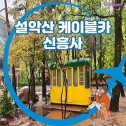 설악산 케이블카(가격, 주차) 신흥사 강원도 가볼만한곳