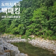 [포천-도마치 자연그대로 캠핑장]백패킹으로만 가야하는 계곡캠핑 ft.1인 1만원