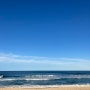 호주 여행기 - 5) 브리즈번 근교 선샤인 코스트 여행 / 선라이즈 비치(Sunrise Beach)