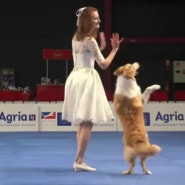 Dog dancing World Championship 2022