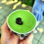 [일본 여행] 후쿠오카 여행 유후인 미르히 밀크푸딩. 무조건 먹어야 할 일본푸딩