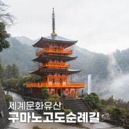 일본 소도시 여행 와카야마 세계문화유산 구마노 고도 순례길