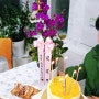 꽃 화환 만천홍 꽃말 서양난 키우기 생신 축하 문구 : 꽃파는 사람들