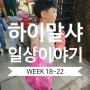 [2024_week18~22] 하이말샤 5월 결산(?!)