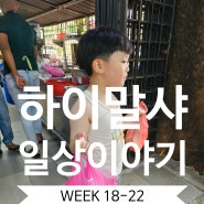 [2024_week18~22] 하이말샤 5월 결산(?!)