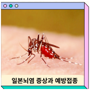 일본뇌염 증상 예방접종 생백신 사백신 4차 5차 모기