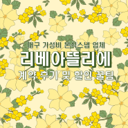 [W14] 대구 가성비 본식스냅업체, 리베아뜰리에 계약 후기 및 할인 꿀팁! (경산 더아트라움 웨딩홀)