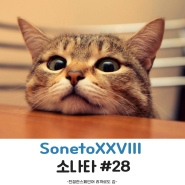 스페인어로 시 읽기 SonetoXXVIII (소네트 28)_Pablo neruda_빠블로 네루다